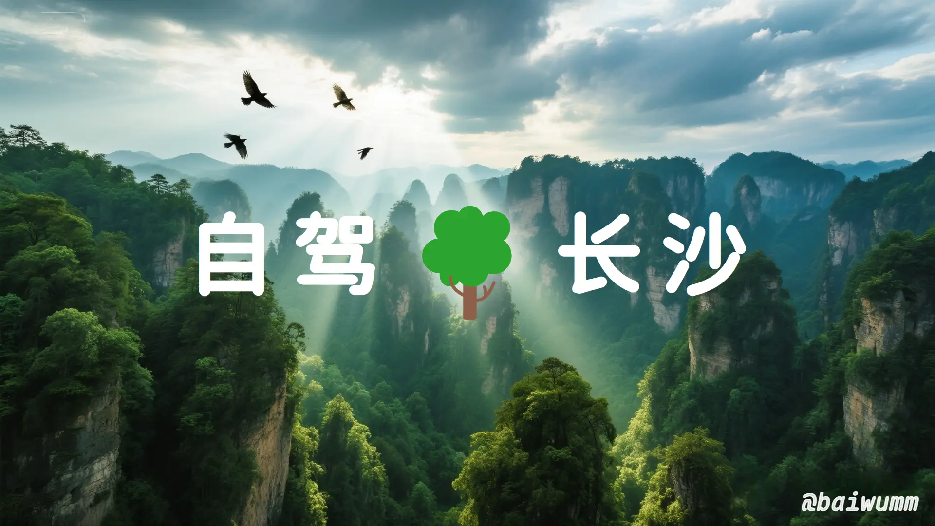 长沙自驾游:张家界森林公园