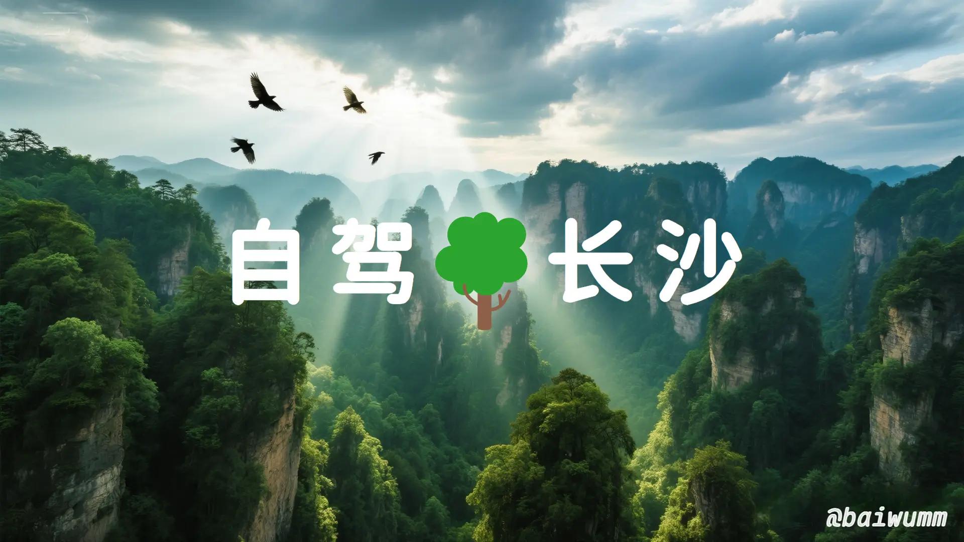 长沙自驾游:张家界森林公园